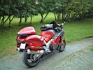 busa17.jpg