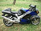 busa20.jpg